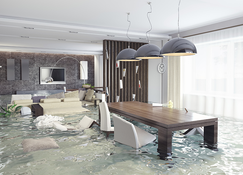 Flood insurance protection for homes and businesses