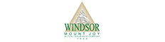 Windsor Insurance Logo